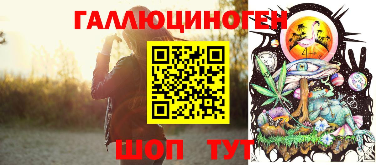 Галлюциногенные грибы Psilocybe Евпатория